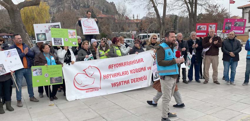 Sokak hayvanları sahipsiz değildir