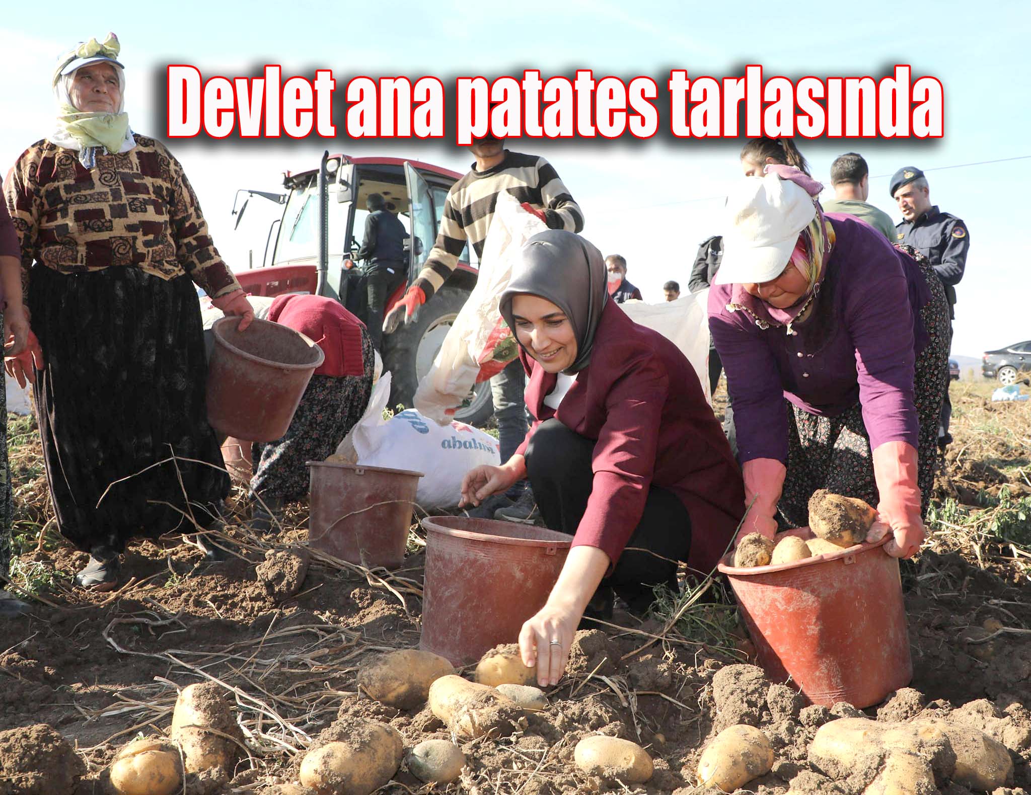 Vali Yiğitbaşı, Şuhut'ta patates topladı