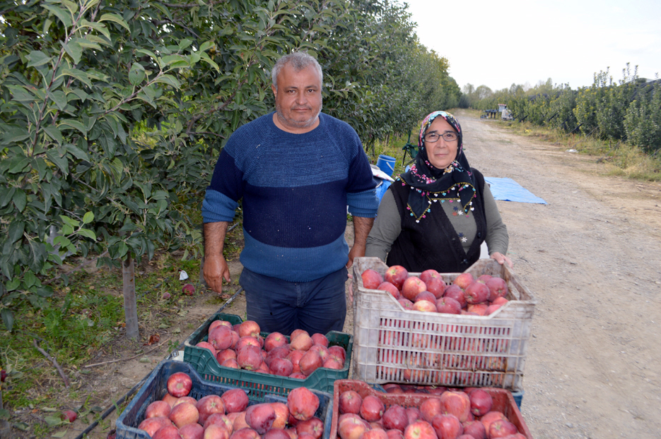 İlimizden 3 kıtaya elma ihracatı