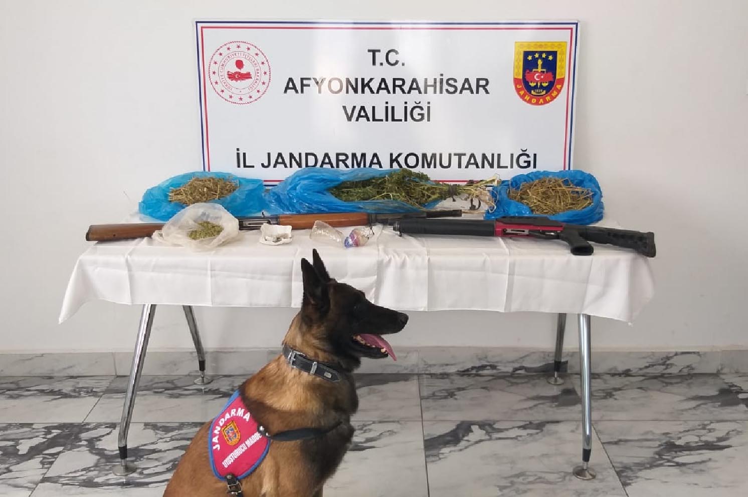 Jandarma'dan zehir tacirlerine baskın