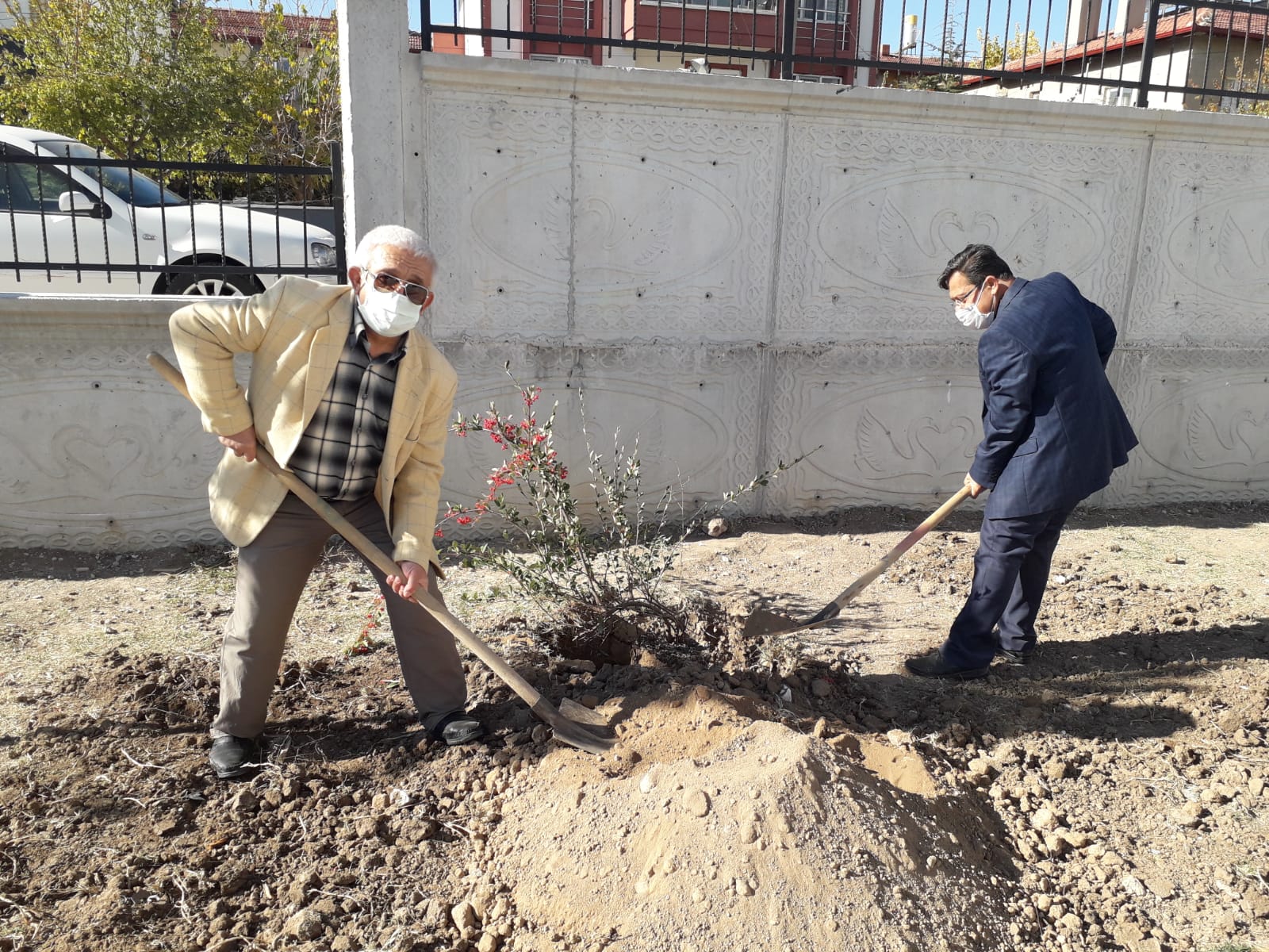 Ağaçlandırma seferberliği